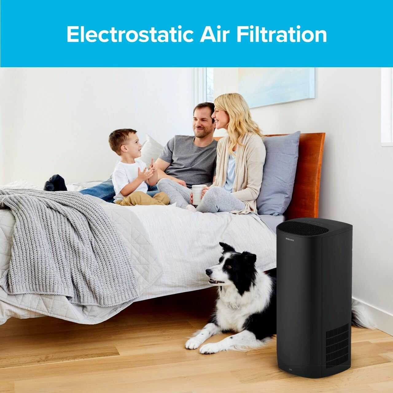 F2 Room Air Purifier Filter, True HEPA Premium Allergen, Bacteria, and Virus, 13 In. X 8.2 In., Pack of 2, Works with Devices: FAP-C02WA-G2, FAP-C03BA-G2, FAP-T03BA-G2 and FAP-SC02N